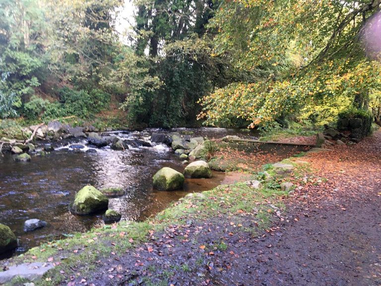 Poems On A Sunday At Kilbroney Park