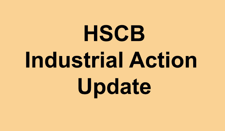 Strike Action – Update From HSC Organisations