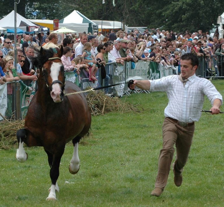 Huge Interest In 2020 Irish Game Fair At Shane’s Castle