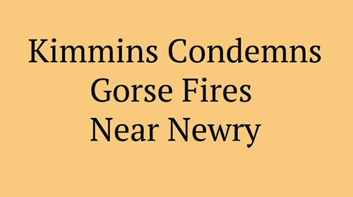 Kimmins Condemns Gorse Fire Arsonists Near Newry
