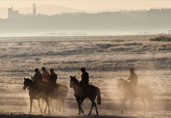 Horse Racing In Ireland Gets Support From HRI