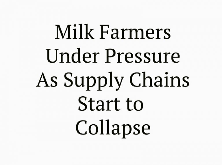 Local Milk Farmers Fear Dropping Prices Says UFU Local Milk Farmers Fear Dropping Prices Says UFU