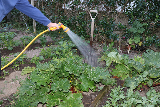 Hosepipe Ban May Be On Way Unless We Conserve Water Hosepipe Ban May Be On Way Unless We Conserve Water