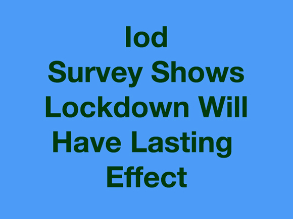 Iod Says Lockdown Had Led To Business Shake Down