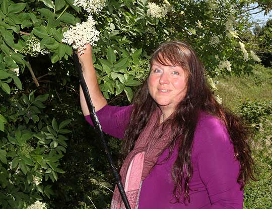 Alison McGrenaghan Talks About The Uses Of Elderflower Alison McGrenaghan Talks About The Uses Of Elderflower
