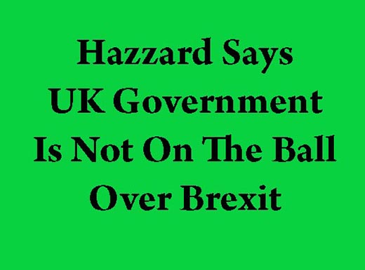 UK Government Is Flapping Over Brexit Says Hazzard