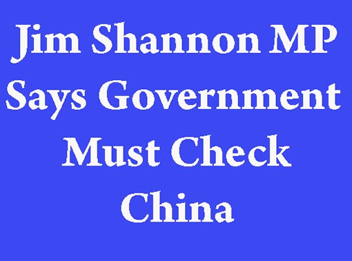 Shannon Says Government Must Act Over Hong Kong