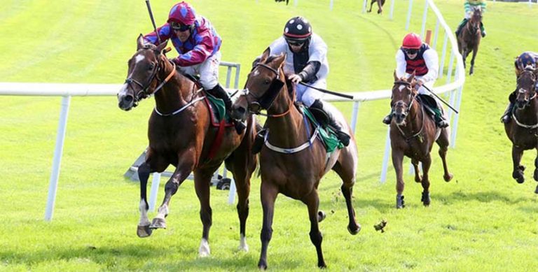 The Trigger Fires Up At Downpatrick Races