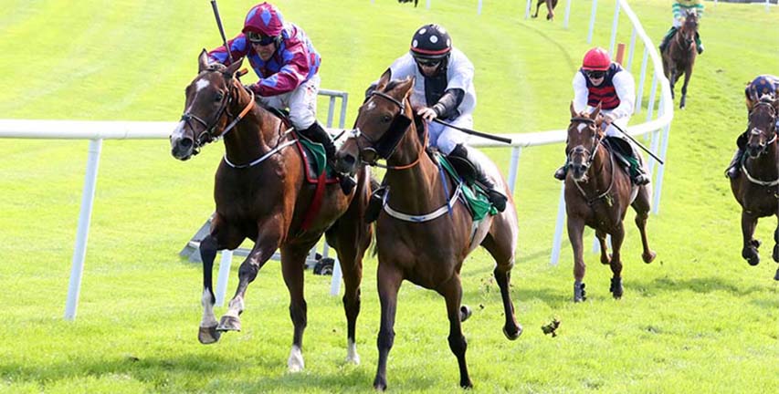 The Trigger Fires Up At Downpatrick Races