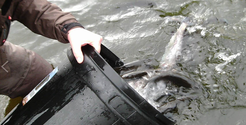 Newry And District Anglers Enjoy Tail End Of Season