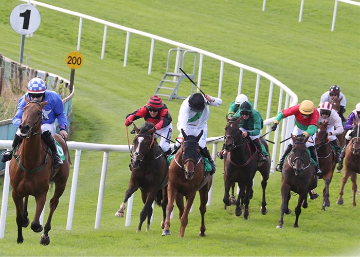 Downpatrick Race Meeting Behind Closed Doors Again