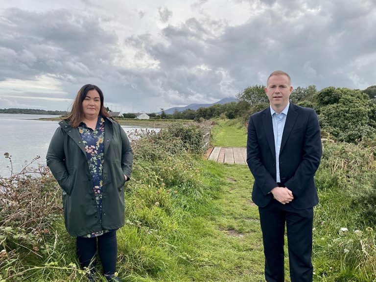 Hazzard Pushes Council On The Dundrum Greenway