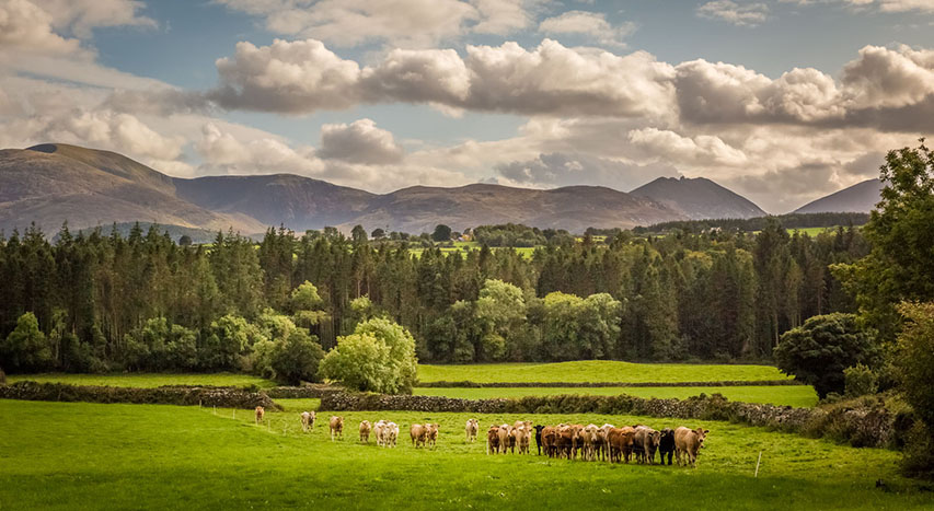 Capture Scenes Of Down For The AONB Photo Competition