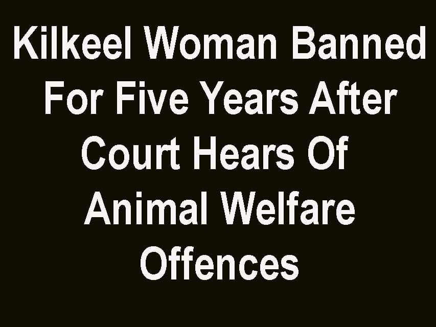 Kilkeel Woman Banned For Keeping Animals For Five Years