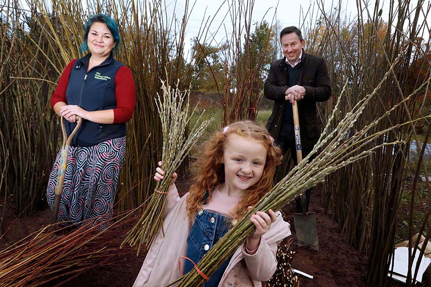 Maxol To Plant 10,000 Trees To Offset Carbon Emissions