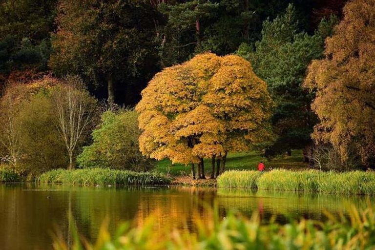 Come Visit The Autumnal Beauty Of The National Trust