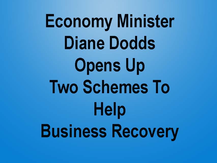 Economy Minister Opens Two Business Recovery Schemes