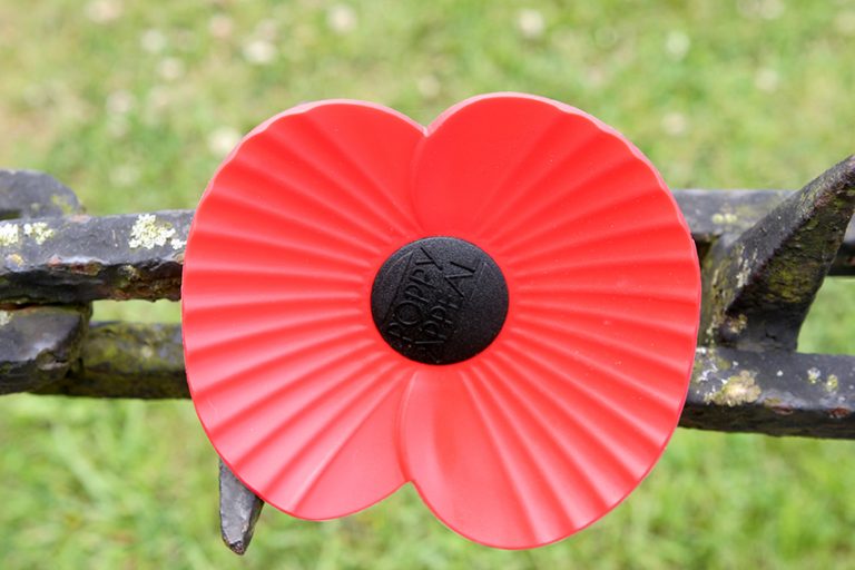 World War Two Vets To Be Recognised By NMD Council