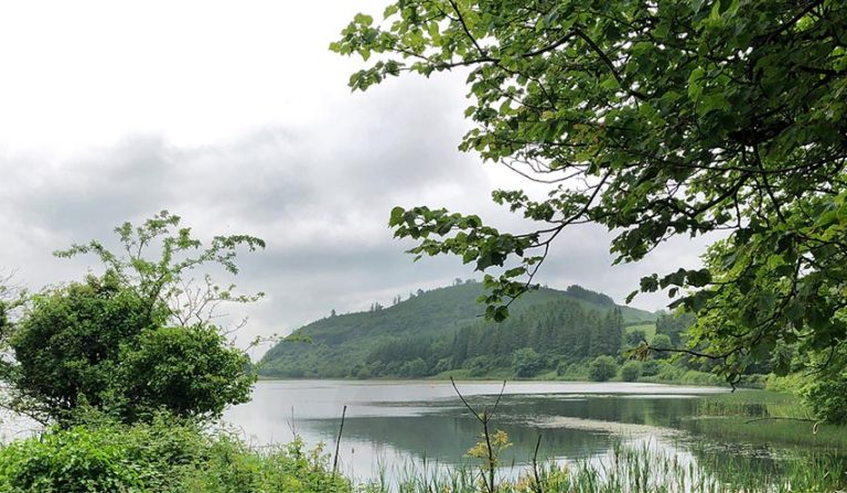 DAERA Stocks Its Public Waters With Trout For October DAERA Stocks Its Public Waters With Trout For October