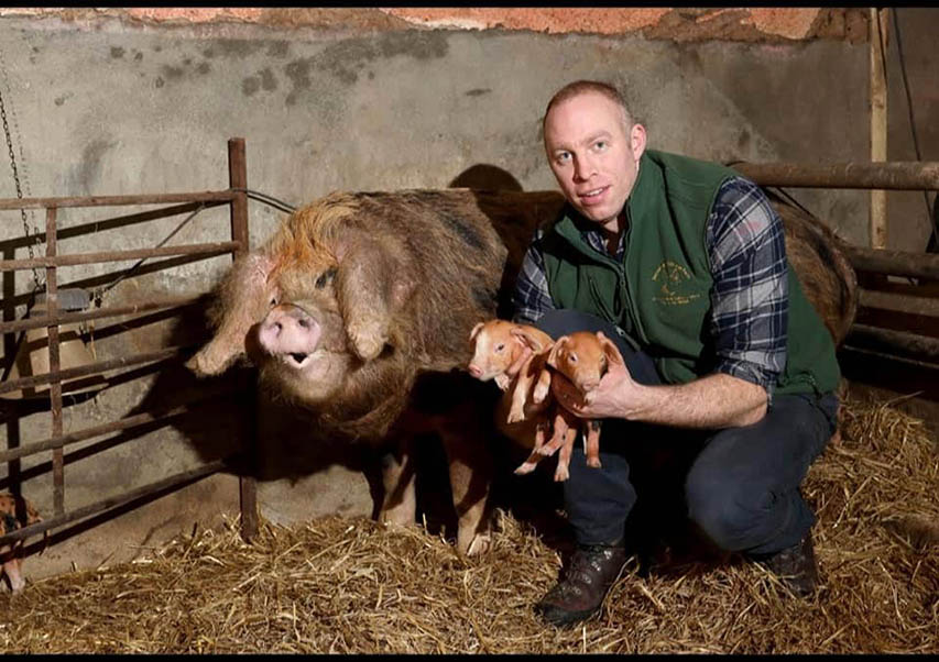 Crossgar Pig Farmer Enjoys A Streak Of Business Fortune
