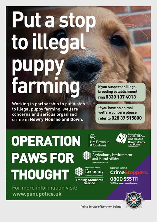When Buying A Puppy You Should Paws For Thought