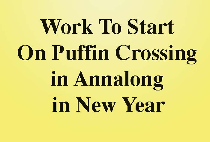 New Puffin Crossing Planned For Annalong