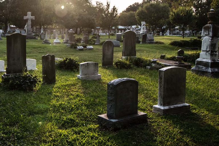 Council Addresses Grave Plots Issue After Local Concerns