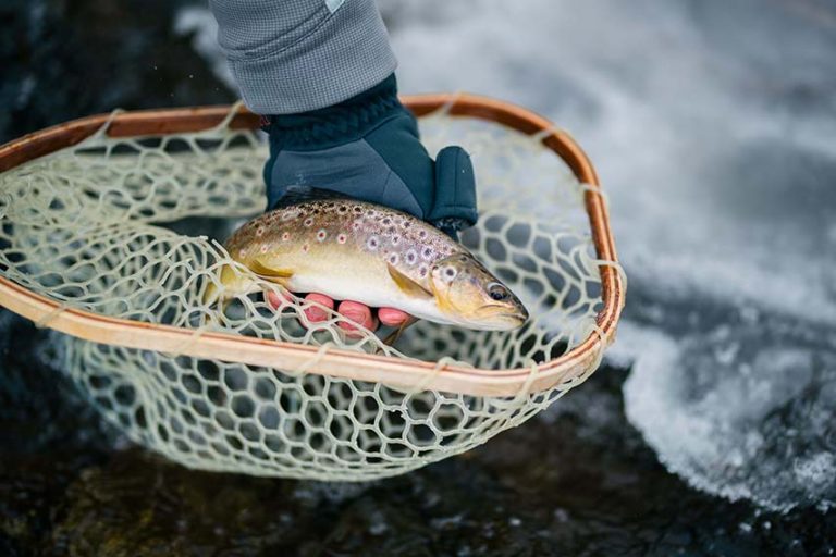 DAERA Inland Fisheries Stocks Public Estate Waters