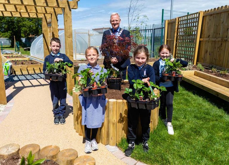 Ards Schools Invited To Best School Garden Project