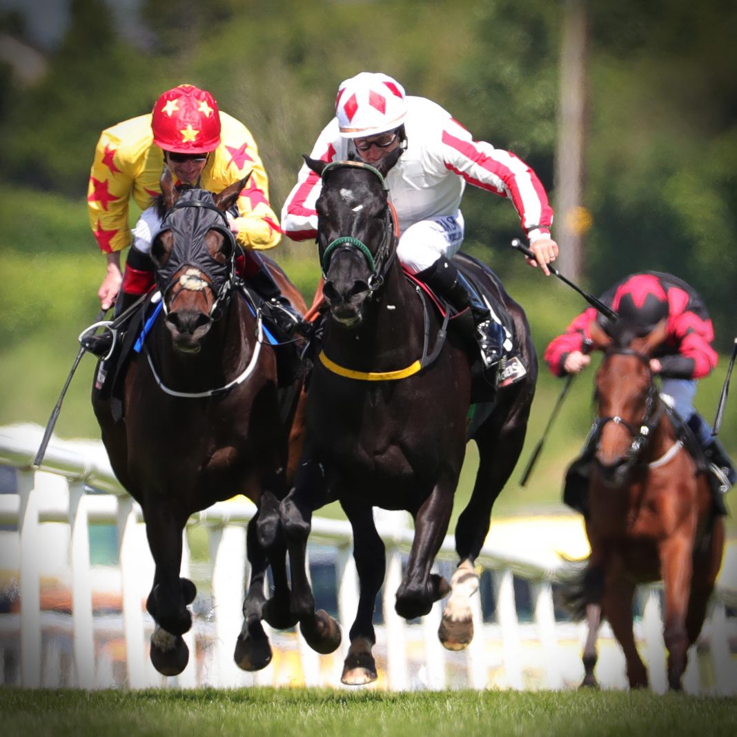 Down Royal Preview For Early Season Race Meeting