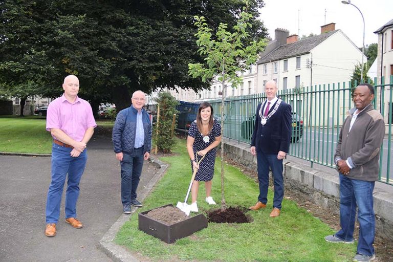 Trees Planted By NMD And Louth Councils