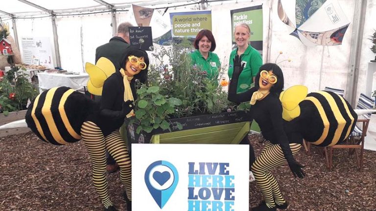 Live Here Love Here Announces Pollinator Grant Scheme