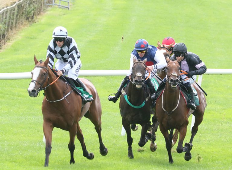 Downpatrick Races On Bank Holiday Produces Local Wins