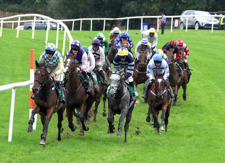 Local Success For Trainers At Downpatrick Races