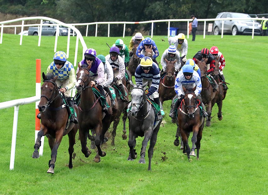 Local Success For Trainers At Downpatrick Races