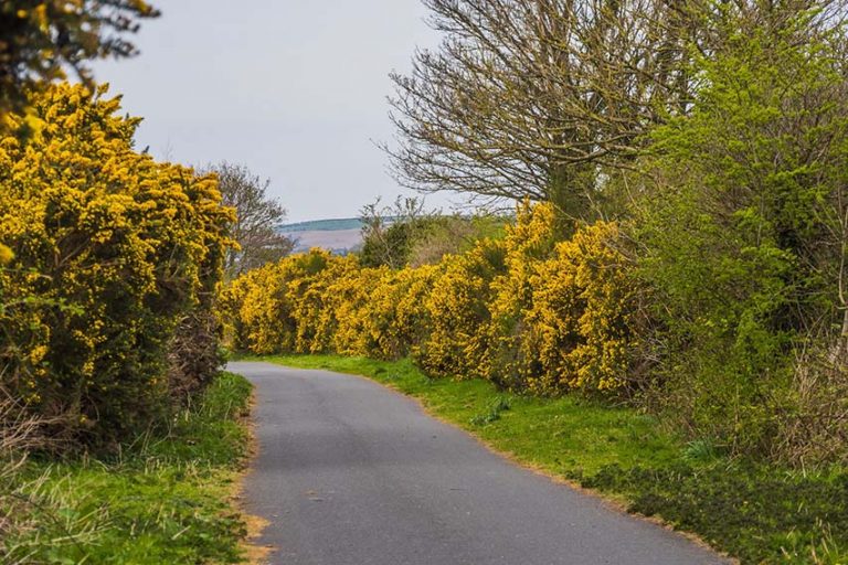 Four Down Greeway Projects Get Over £1Million