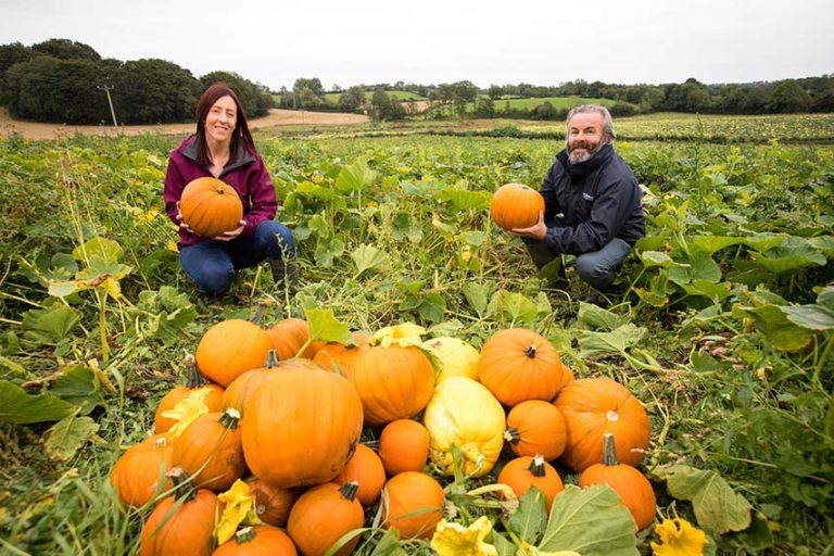 Keep Action Cancer Bus Moving By Picking Up A Pumpkin