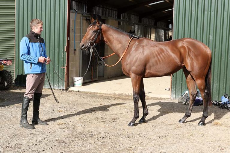 Downpatrick Trainers Win At Gowran Park and Dundalk