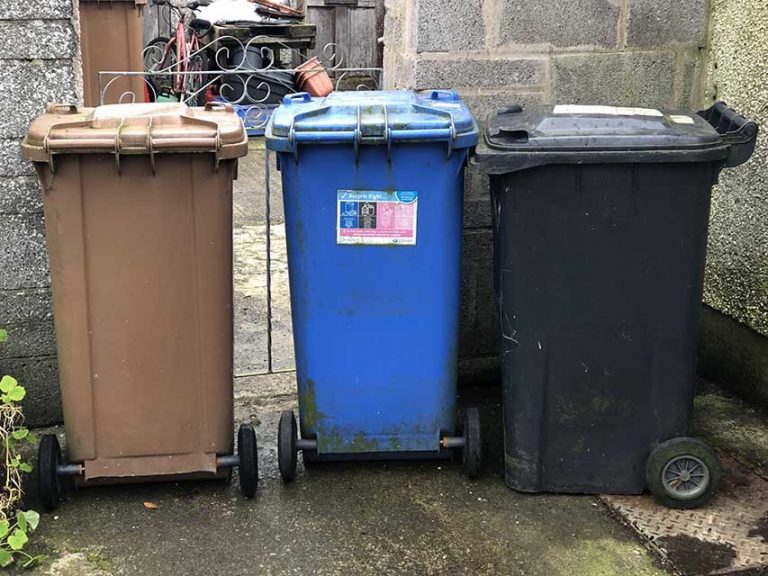 Re-Gen Waste Chief Breaks Down Waste Statistics