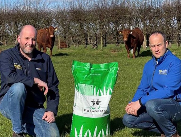 Clover Can Help Cut Fertiliser Cost Says Cafre Clover Can Help Cut Fertiliser Cost Says Cafre