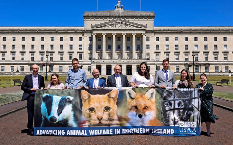 Brown Leads Alliance Campaign Against Puppy Farm