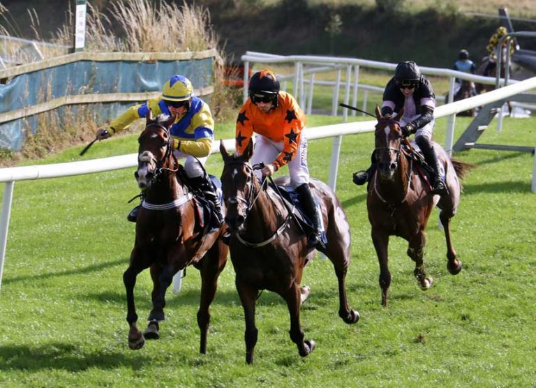 Downpatrick Races Style Day Bathed In Glorious Sun