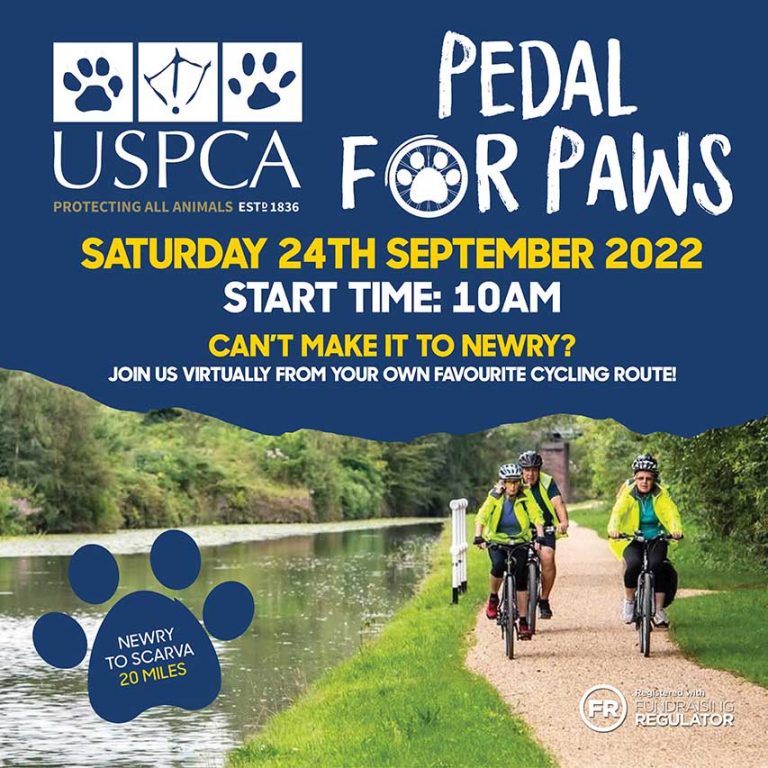 Pedal For PAWS With The USPCA In Newry