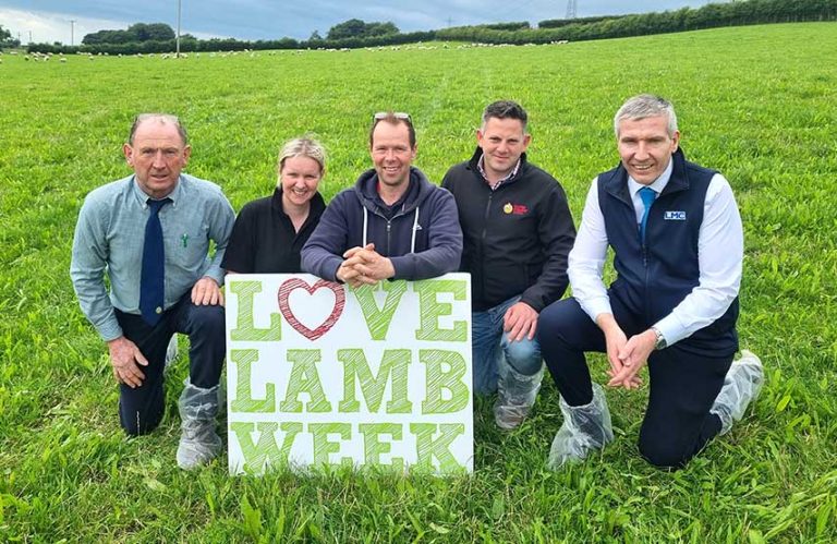 UFU Says Support Sheep Sector in Love Lamb Week