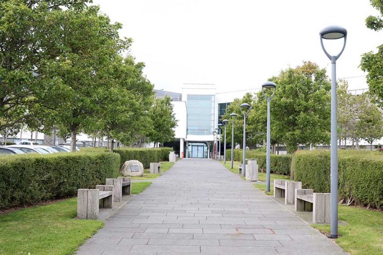 Complete The Hospital Consultation To Save The Downe