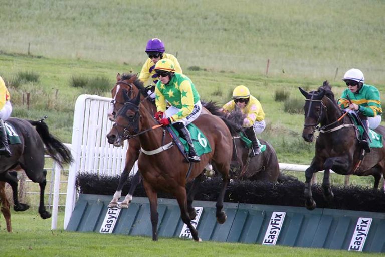 Downpatrick Racecourse To Run Seven Races On Sunday