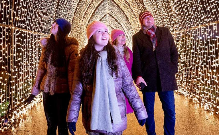 Return Of Popular Hillsborough Seasonal Show