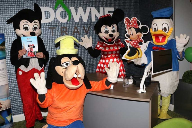 Downe Travel Dress For The Disney Occasion