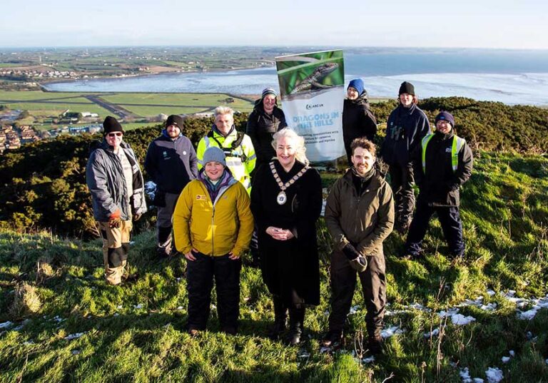 Common Lizard Habitat At Scrabo Gets An Upgrade