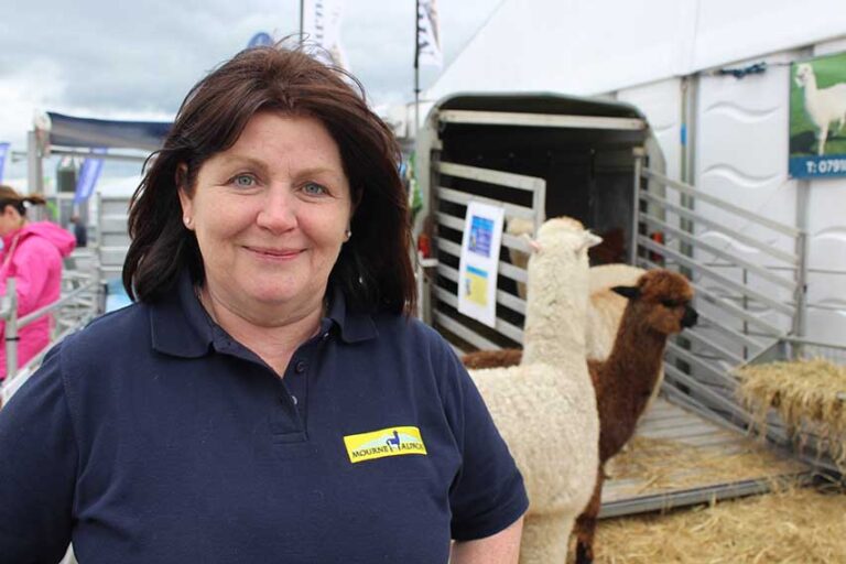 Down Exhibitors To Show At Balmoral Rare Breeds